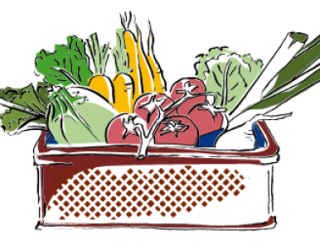 Unsere Biokiste heißt Felderkiste: saisonales Gemüse im Bio-Abo Unsere Biokiste heißt Felderkiste: saisonales Gemüse im Bio-Abo