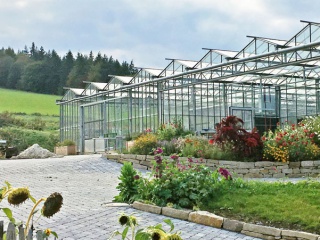 Wünnerhof und Gut Marienhof verfügen über 1500 qm Gewächshaus Wünnerhof und Gut Marienhof verfügen über 1500 qm Gewächshaus
